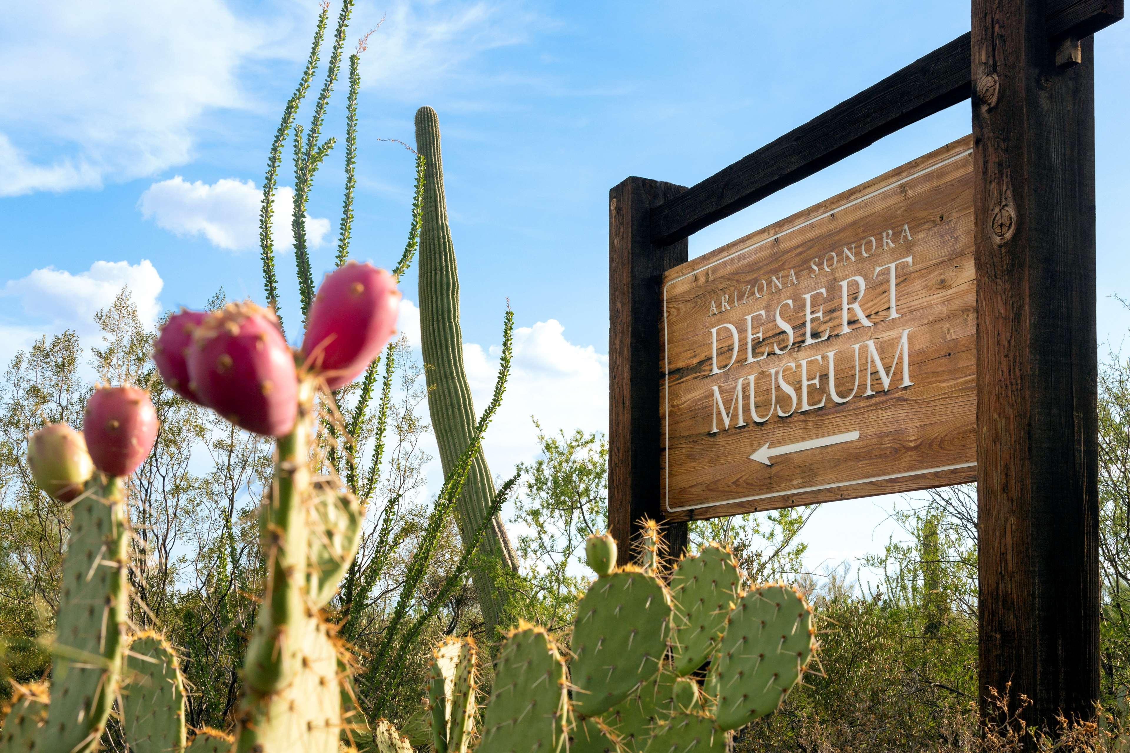 Hyatt Place Tucson Central Eksteriør bilde
